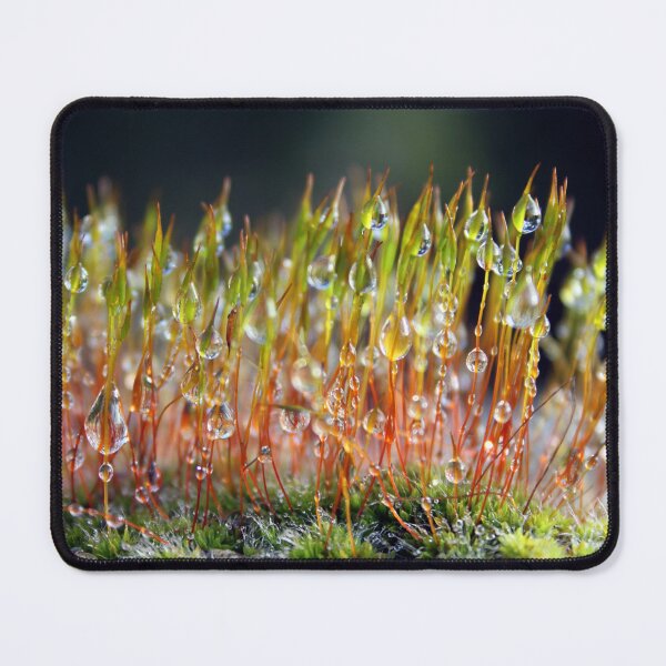 Item preview, Dew drops on moss designed and sold by wesneves.