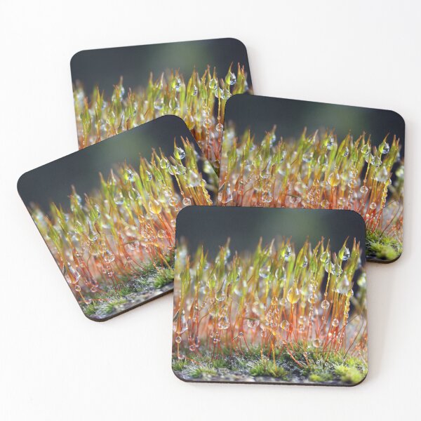 Item preview, Dew drops on moss designed and sold by wesneves.