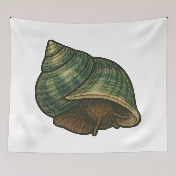 Item preview, Turban Snail Shell Illustration – Ocean Spiral Marine Art designed and sold by Vendeloc.