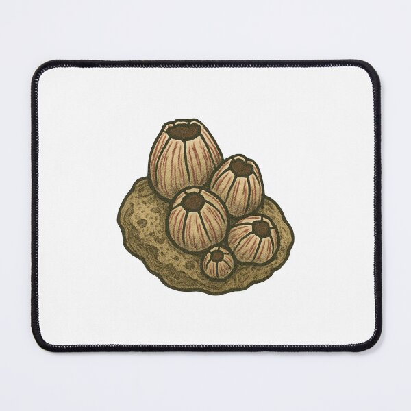 Item preview, Barnacle Cluster Drawing – Tide Pool Marine Life Design designed and sold by Vendeloc.