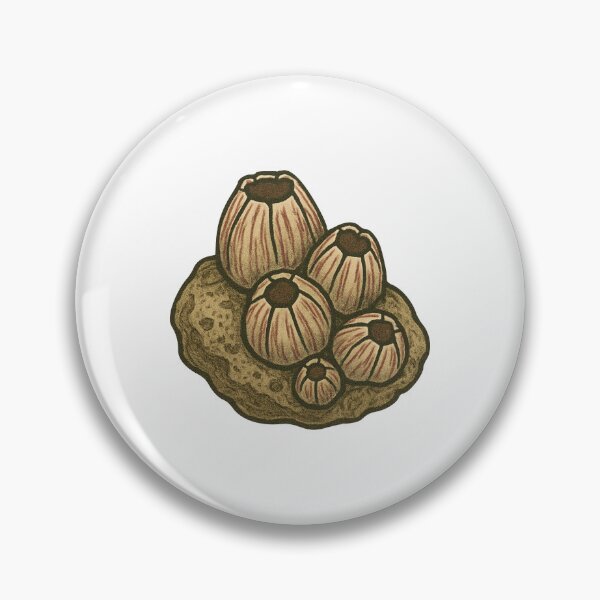 Item preview, Barnacle Cluster Drawing – Tide Pool Marine Life Design designed and sold by Vendeloc.