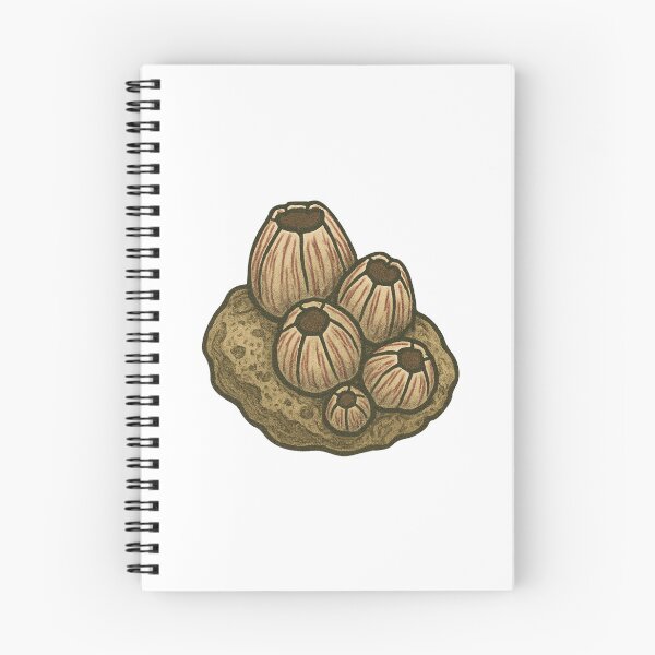 Item preview, Barnacle Cluster Drawing – Tide Pool Marine Life Design designed and sold by Vendeloc.