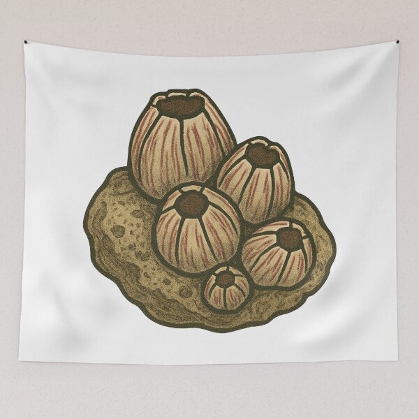 Item preview, Barnacle Cluster Drawing – Tide Pool Marine Life Design designed and sold by Vendeloc.