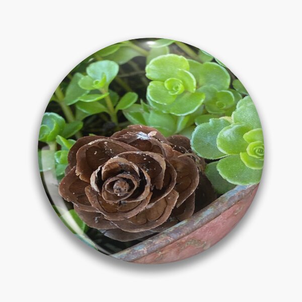Item preview, Pine cone and succulents designed and sold by LoveHeartRocks.