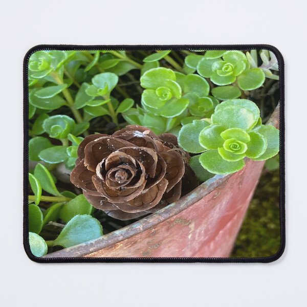 Item preview, Pine cone and succulents designed and sold by LoveHeartRocks.