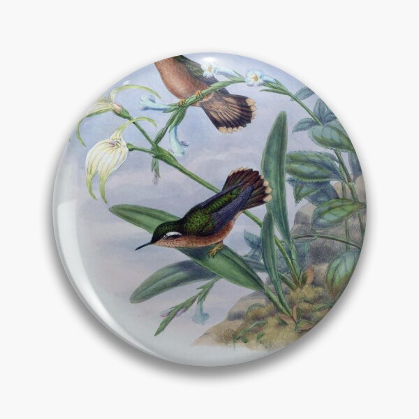 Item preview, Adelomyia Cervina designed and sold by Lucy Goosy Art.
