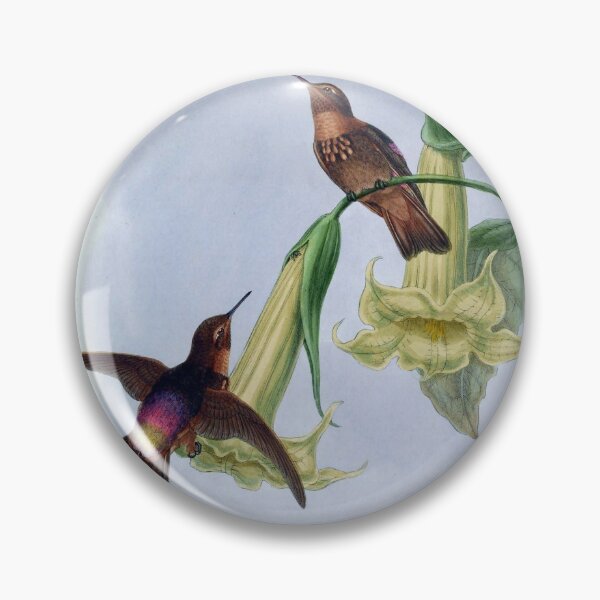 Item preview, Aglaeactis Caumatonota designed and sold by Lucy Goosy Art.