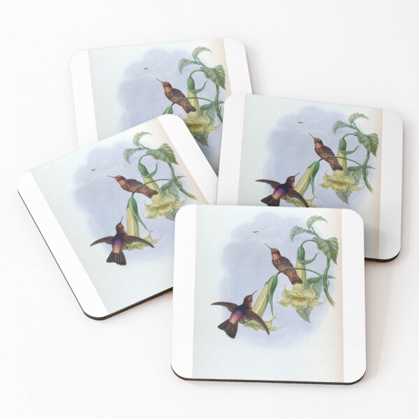 Item preview, Aglaeactis Caumatonota designed and sold by Lucy Goosy Art.
