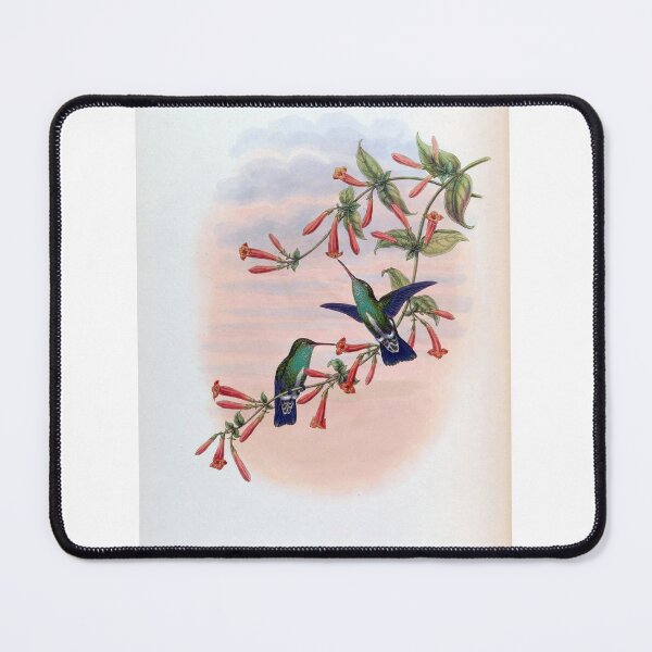 Item preview, Agyrtira Fluviatilis designed and sold by Lucy Goosy Art.