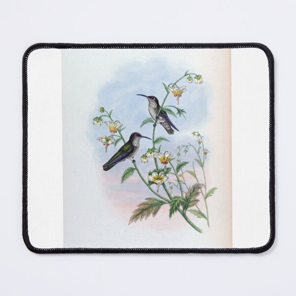 Item preview, Agyrtira Taczanowskii designed and sold by Lucy Goosy Art.