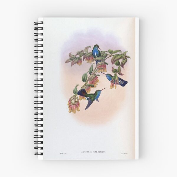 Item preview, Agyrtria Bartletti designed and sold by Lucy Goosy Art.