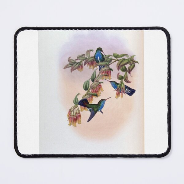 Item preview, Agyrtria Bartletti designed and sold by Lucy Goosy Art.