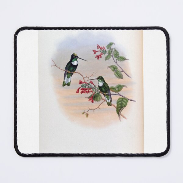Item preview, Bourcieria Insectivora designed and sold by Lucy Goosy Art.