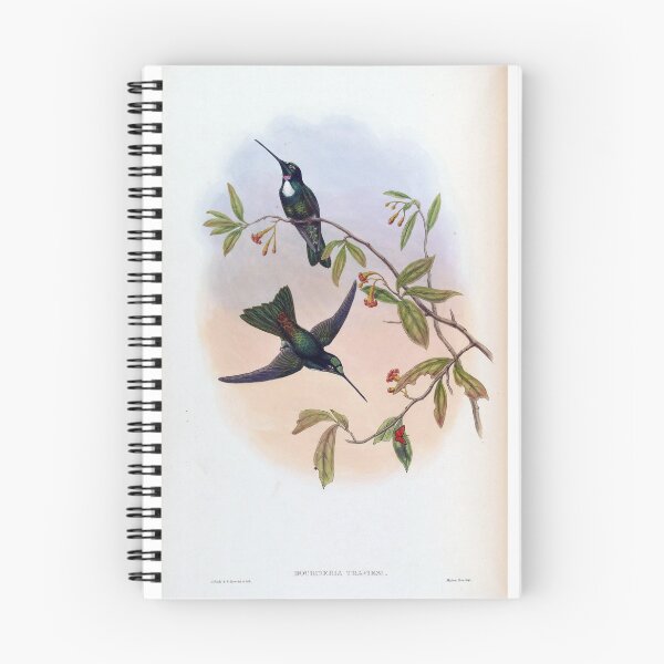 Item preview, Bourcieria Traviesi designed and sold by Lucy Goosy Art.