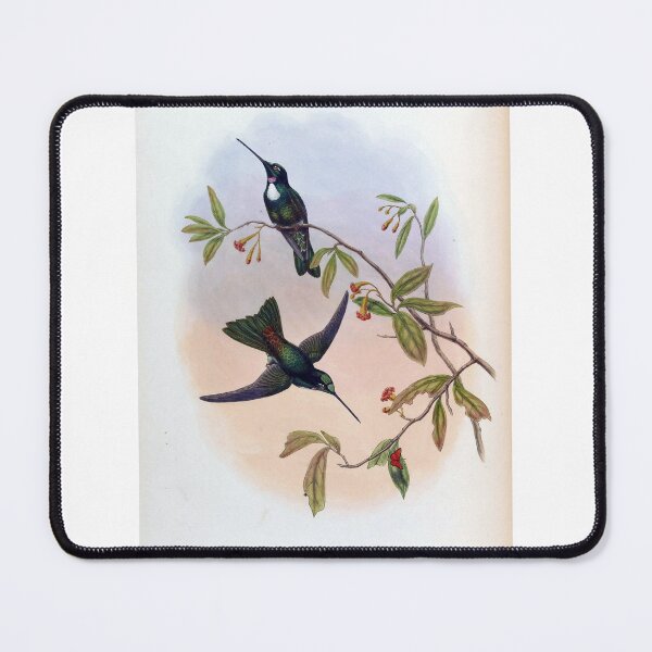 Item preview, Bourcieria Traviesi designed and sold by Lucy Goosy Art.