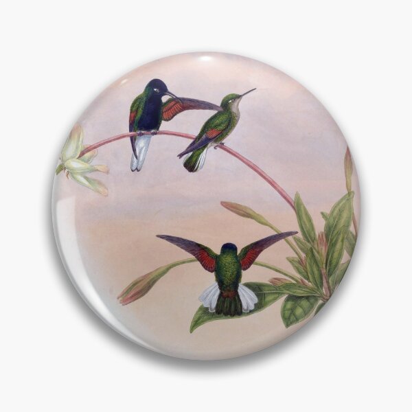 Item preview, Callipharus Nigriventris designed and sold by Lucy Goosy Art.