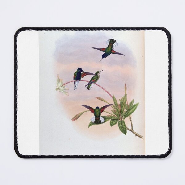 Item preview, Callipharus Nigriventris designed and sold by Lucy Goosy Art.