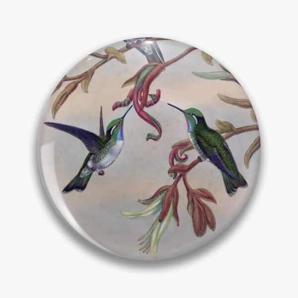 Item preview, Coeligena Hemileuca designed and sold by Lucy Goosy Art.