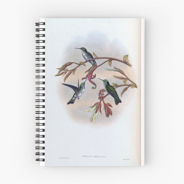 Item preview, Coeligena Hemileuca designed and sold by Lucy Goosy Art.