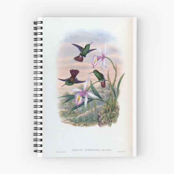 Item preview, Copper Tailed Hummingbird designed and sold by Lucy Goosy Art.