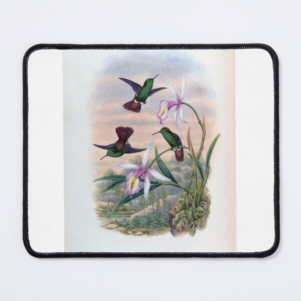 Item preview, Copper Tailed Hummingbird designed and sold by Lucy Goosy Art.