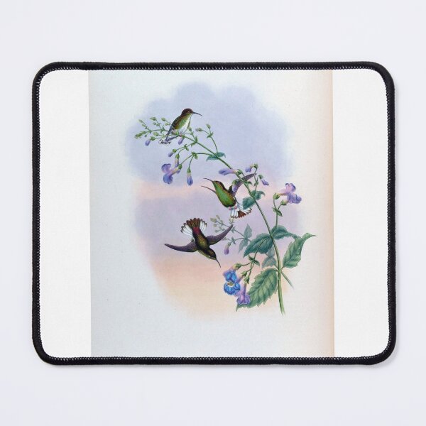 Item preview, Coppery Headed Emerald designed and sold by Lucy Goosy Art.