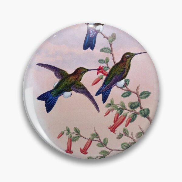 Item preview, Coppery Naped Puffleg designed and sold by Lucy Goosy Art.