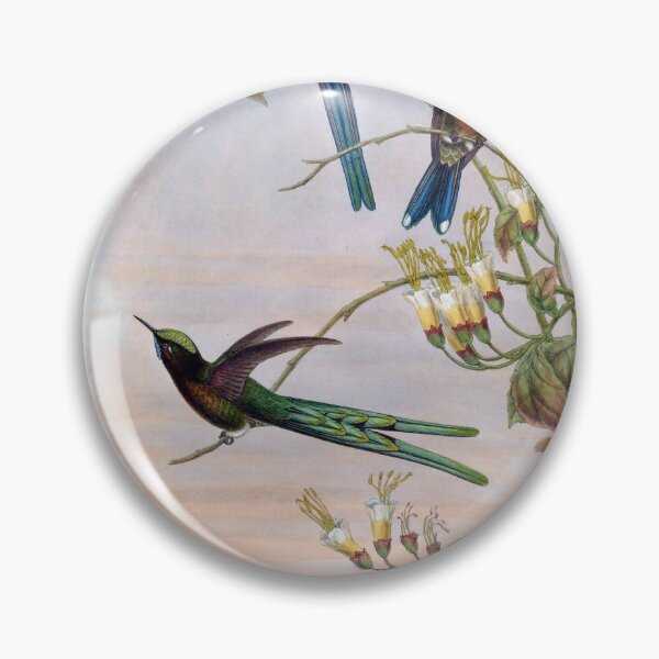 Item preview, Cynanthus Bolivianus designed and sold by Lucy Goosy Art.