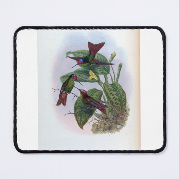 Item preview, Diphlogaena Hesperus designed and sold by Lucy Goosy Art.
