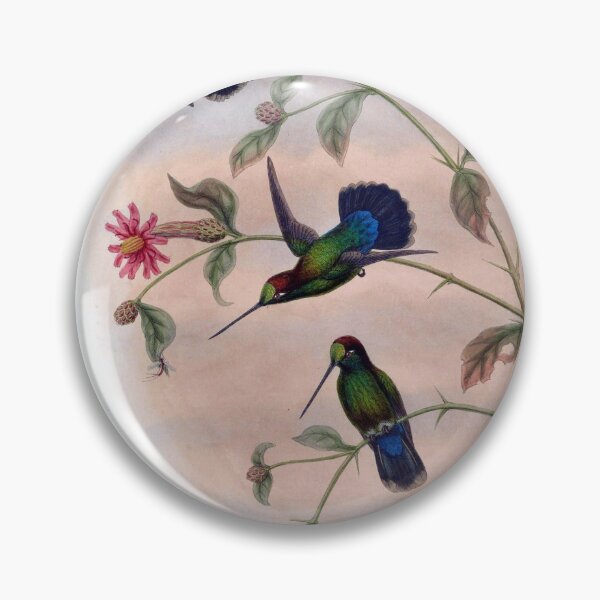 Item preview, Dorifera Veraguensis designed and sold by Lucy Goosy Art.