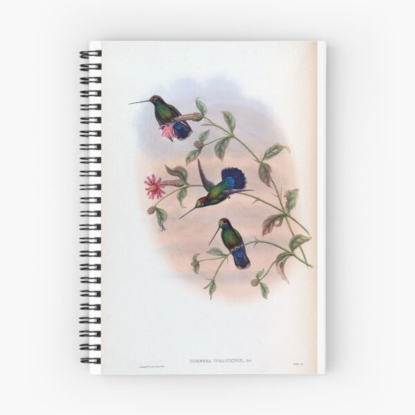 Item preview, Dorifera Veraguensis designed and sold by Lucy Goosy Art.