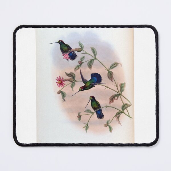 Item preview, Dorifera Veraguensis designed and sold by Lucy Goosy Art.