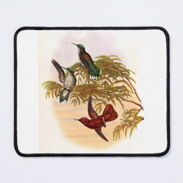 Item preview, Eu8tephanu8 Leyboldi designed and sold by Lucy Goosy Art.