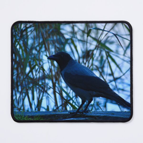 Item preview, Beautiful Hooded Crow designed and sold by wesneves.