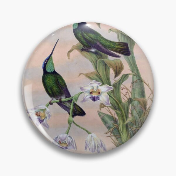 Item preview, Eugenes Spectabilis designed and sold by Lucy Goosy Art.