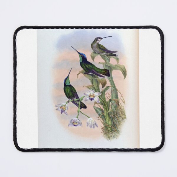 Item preview, Eugenes Spectabilis designed and sold by Lucy Goosy Art.