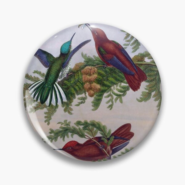 Item preview, Eustephanus Fernandensis designed and sold by Lucy Goosy Art.