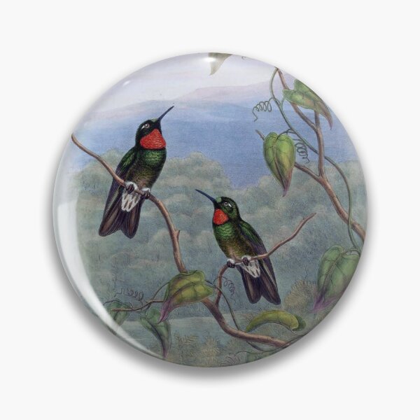 Item preview, Heliangelus Micrastur designed and sold by Lucy Goosy Art.