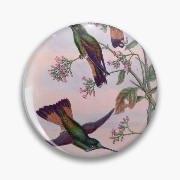 Item preview, Helianthea Dichroura designed and sold by Lucy Goosy Art.