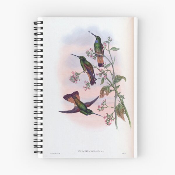 Item preview, Helianthea Dichroura designed and sold by Lucy Goosy Art.