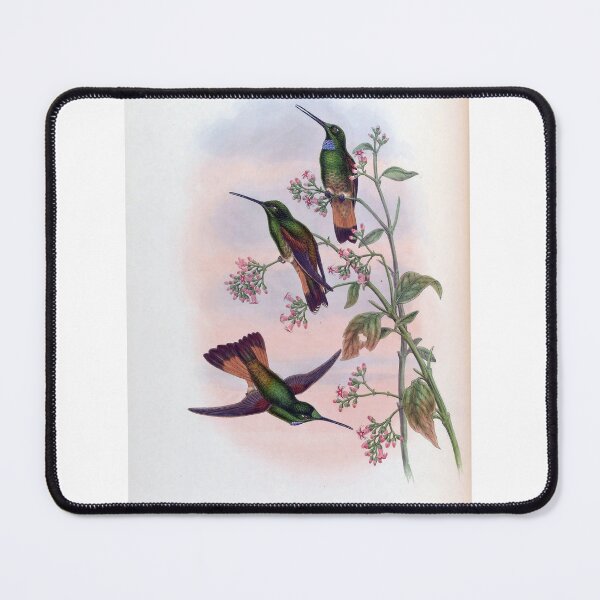 Item preview, Helianthea Dichroura designed and sold by Lucy Goosy Art.