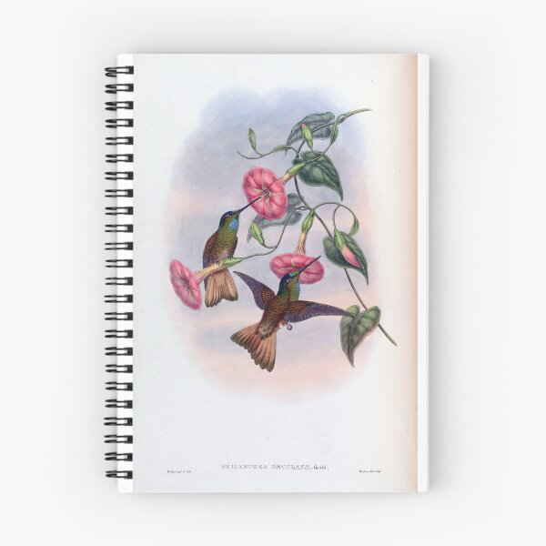 Item preview, Helianthea Osculans designed and sold by Lucy Goosy Art.
