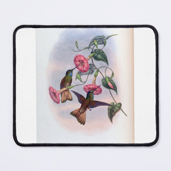Item preview, Helianthea Osculans designed and sold by Lucy Goosy Art.