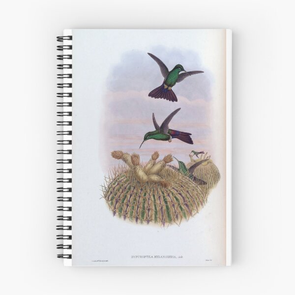 Item preview, Hypuroptila Melanorrhoa designed and sold by Lucy Goosy Art.