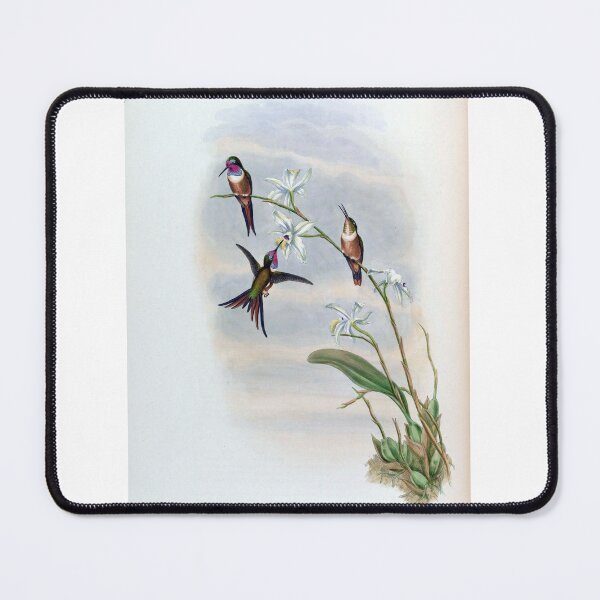 Item preview, Inaguan Woodstar designed and sold by Lucy Goosy Art.