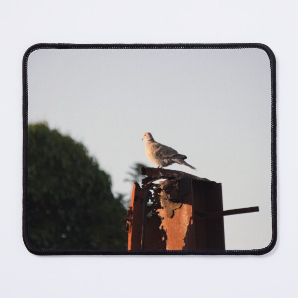 Item preview, Mourning Dove designed and sold by wesneves.