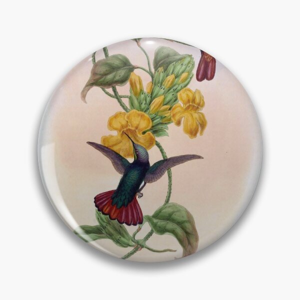 Item preview, Lampornis Calosoma designed and sold by Lucy Goosy Art.