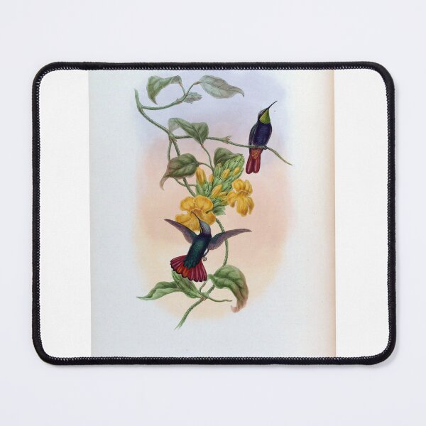 Item preview, Lampornis Calosoma designed and sold by Lucy Goosy Art.