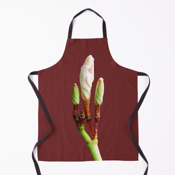 Item preview, beautiful buds flowers of Plumeria, Chinese plumeria or frangipani flowers. designed and sold by MiMee4451.