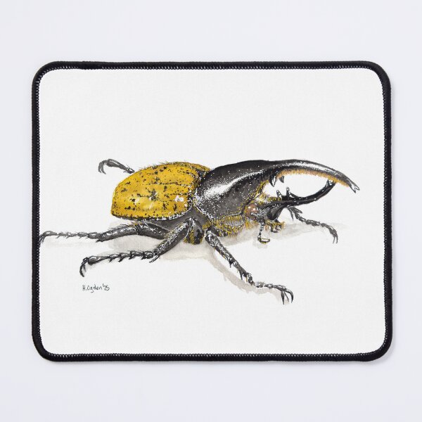Item preview, Male Hercules beetle designed and sold by Art by Heath Ogden.